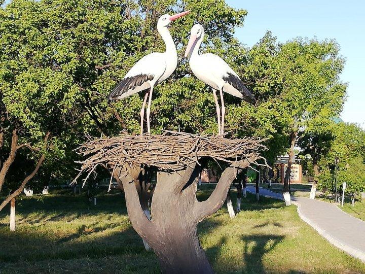 "Рухани жаңғыру бағдарламасы аяасында,туған жердің тарихына деген қадыр-құрметті ояту мақсатында"